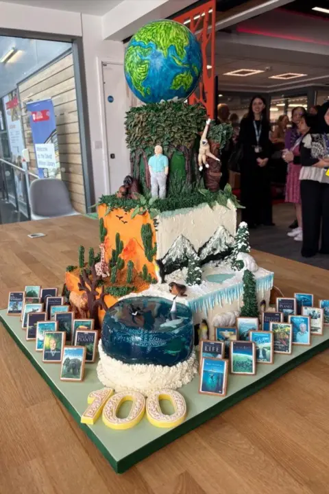 A large cake celebrating Sir David Attenborough's 100th birthday. It is set on a wooden table and there is a small crowd of people looking on from behind.