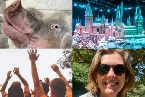 Montage: Top left: Close up of a pig's face from the side, Top right: A model of Hogwarts castle, Bottom left: a crowd raising their hands from behind, Bottom right: a close up of a woman in large dark round glasses. She is smiling and has dark blonde chin length hair