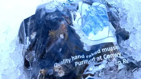 BBC Bag of Conwy mussels