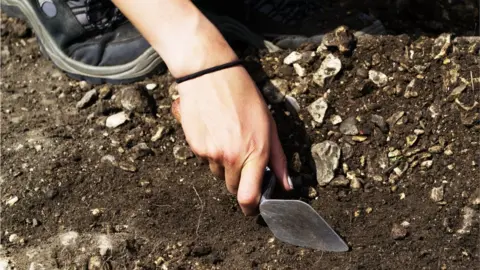 Archaeological dig