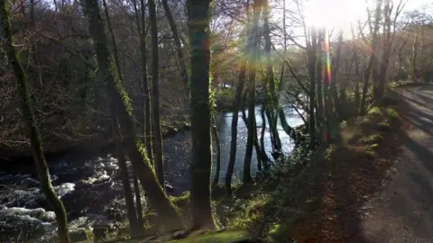 Google River Dart