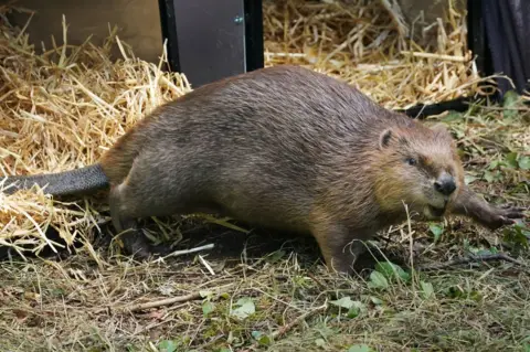Owen Humphreys/PA Beaver