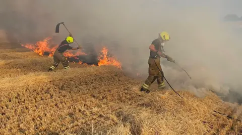 Two firefighters, in a field, tackling a fire, they are standing on crops. There are flames in the field and lots of smoke. One is holding up a beater, the other has a hose in his hand. 