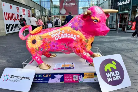 A sculptured bull is mainly pink, with stripes of yellow and orange going from the front to nearly the back. Two boards are in front of it, resting on the ground - one with the words Birmingham Hospice and the other with the words Wild in Art on it.