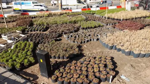 LDRS A large number of potted plants and shrubs laid out on bare soil ahead of planting in a city centre park area