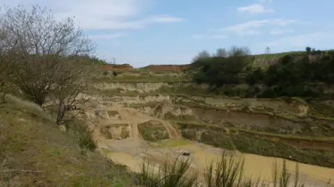 Jamie Robins Buckingham Hill Pit has tall, layered verges made up of sand and grass. There are small trees, shrubs and bushes there too. It is a former quarry.