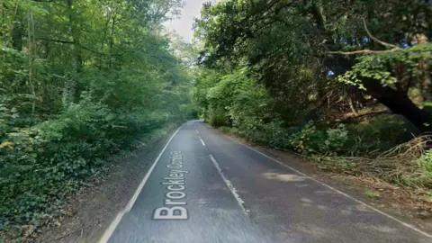 Google A road running between green trees.