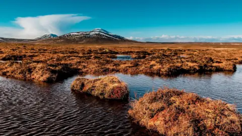 A view across lochans and peatbog to a hills with patches of snow at Forsinard in the Flow Country Unesco World Heritage Site. The lochan's waters are almost black in colour, while short, brown vegetation covers the peatbog.