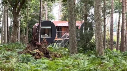 A brown treehouse that looks like half a doughnut. It is on metal stilts and is behind trees and ferns.