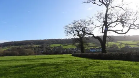 Jim Rolling green fields and hills in Sidmouth with two leafless trees in the foreground and to the left of frame, with buildings and more trees visible in the background. There are bright blue skies above and the light from the sun is visible to the right of frame.