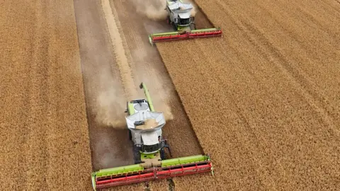 PX Farms An aerial view of two combine harvesters cutting down the crops in a yellow field, with clouds of brown dust behind them.