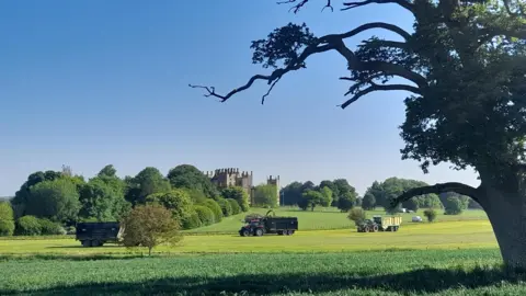 TUESDAY - Three tractors cutting grass in a field in front of Sherborne Castle