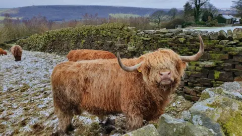 Ivy/BBC Weather Watchers Pateley Bridge