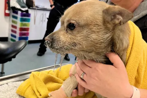 Nottinghamshire Fire and Rescue Buddy after rescue