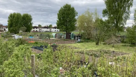 Luke Jarmyn Adelaide allotments, Carlisle