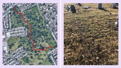 Google/NYC LGBT Historic Sites Project Murray Hall's unmarked grave in Mount Olivet Cemetery in Queens, New York