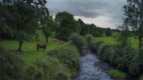 Dan Kitwood/Getty Images A river runs between two fields, one in Northern Ireland and one in the Republic of Ireland