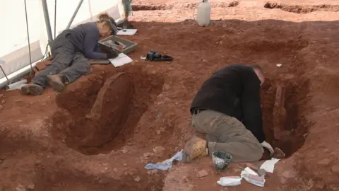 Museum Wales The excavation