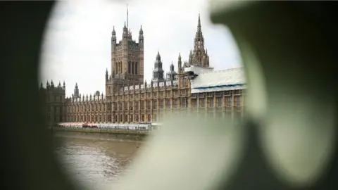 Getty Images Parliament spy