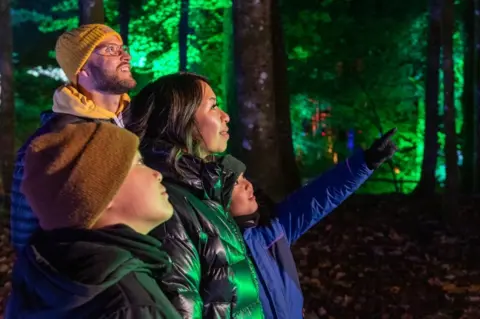 Enchanted Forest Enchanted Forest