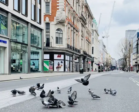 Sophie Raworth Pigeons on Oxford Street