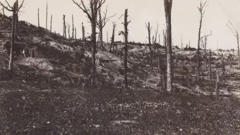 Pierre Malinowski This picture of the Winterberg tunnel was taken under heavy artillery fire