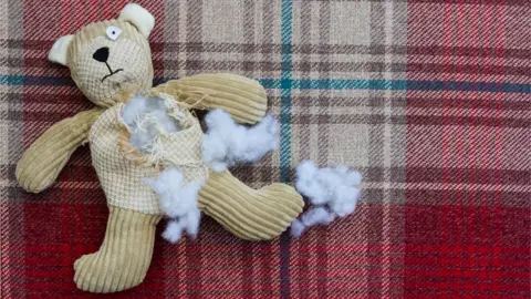 Getty Images Teddy bear with stuffing coming out