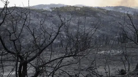 Getty Images Scorched mountain sides and tress in Tizi Ouzou, northern Algeria, caused by forest fires