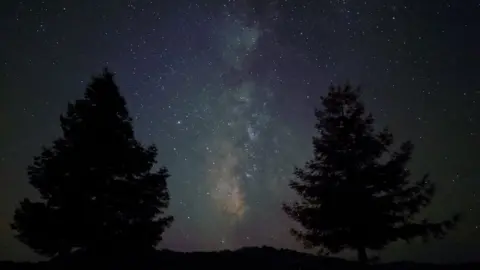 Google Pixel 4 photo