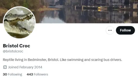 X A screenshot of the homepage of the Bristol Croc twitter account