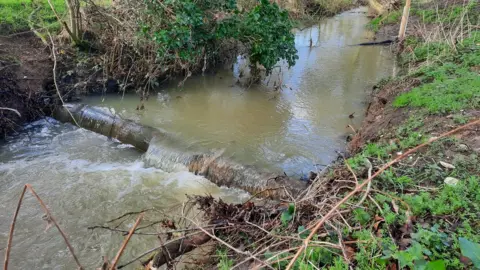 RIVER WAVENEY TRUST Leaky dam