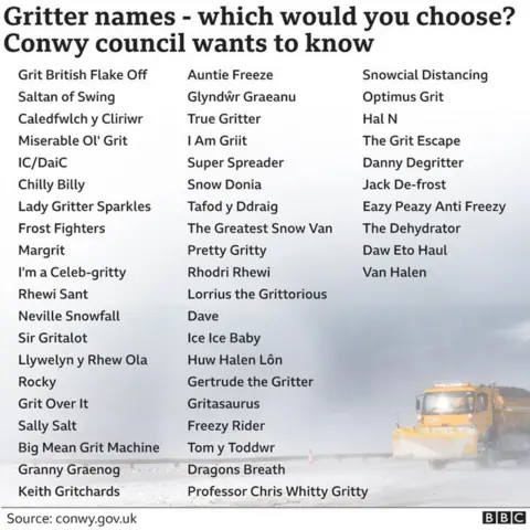 A graphic of suggested names for gritting lorries