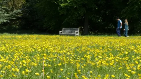 CambridgePPF People walking at Wandlebury