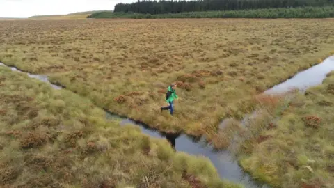 Forestry England Restored border mire