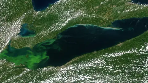 NOAA_NASA Suomi-NPP satellite Dr Stumpf and his team use satellite imagery to track the algae bloom on Lake Erie