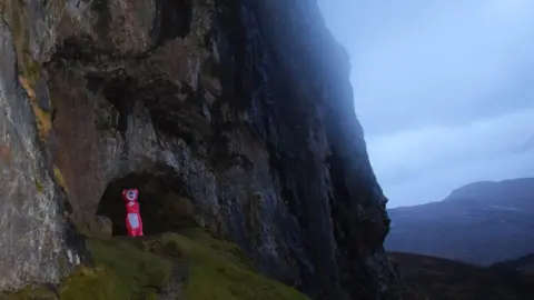 The Rebel Bear Rebel Bear