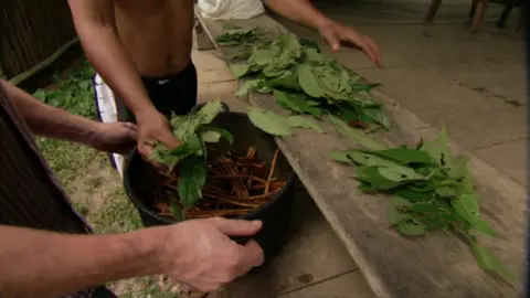 BBC ayahuasca