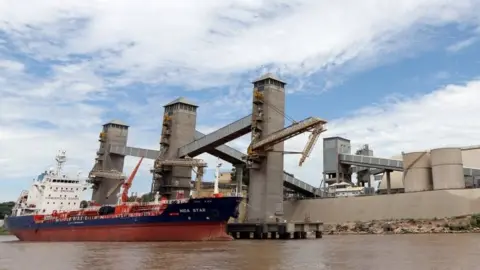 Reuters Grain is loaded aboard ships on a port on the Parana river near Rosario, Argentina, January 31, 2017.