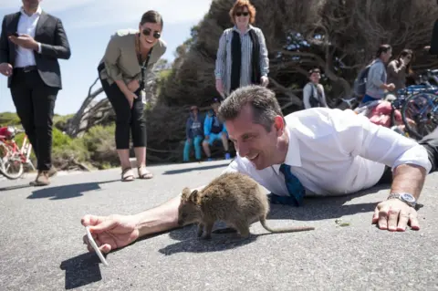 Tony McDonough/ EPA A politician tries to get a selfie with a quokka.