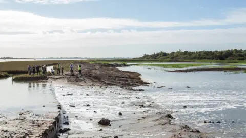 Environment Agency Fingringhoe Wick reserve