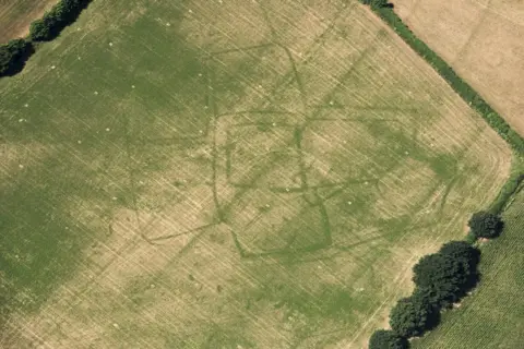 Historic England Parch marks of a Roman farm in a field of grass at Bicton, Devon