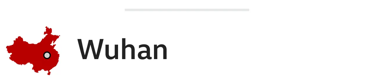 BBC Wuhan header