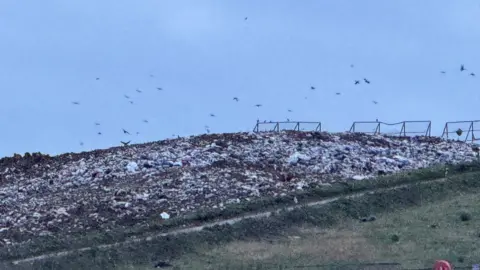 Contributed Landfill on Bellhouse landfill site in Stanway near Colchester in Essex
