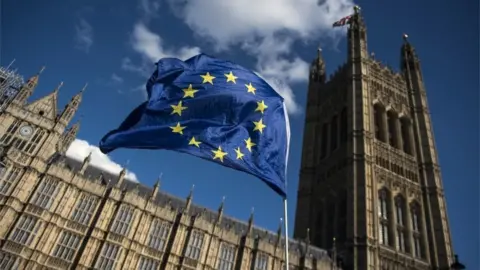 EPA EU flag outside Westminster