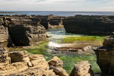 Lisa Drewe North Ronaldsay is the northernmost island in the Orkney archipelago