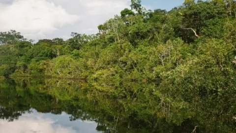 Nathalia Segato/Unsplash Amazon