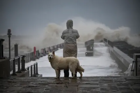 Getty Images A person and their dog watch the waves, on November 02, 2023 in West Bay, Dorset.