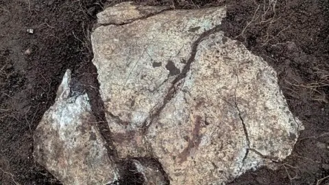 Vindolanda Unearthed chalice