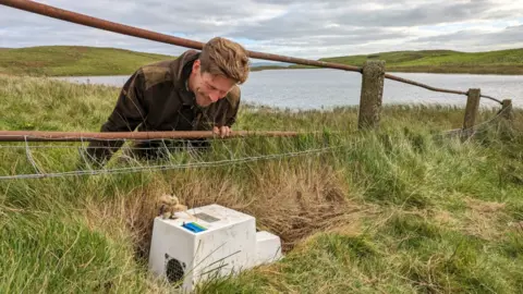 LIFE Raft Project A man in a field beside a lake inspects a trap, which lies on the grass, on Rathlin Island