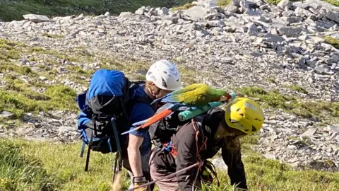 Ogwen Valley Mountain Rescue Parrot perched on backpack during rescue